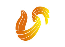 山東電視臺